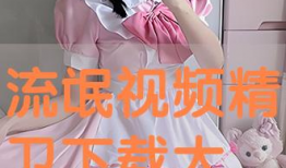 流氓视频下载,揭秘热门视频资源的便捷获取之道